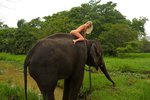 Terry Sri Lanka - Elephant Ride