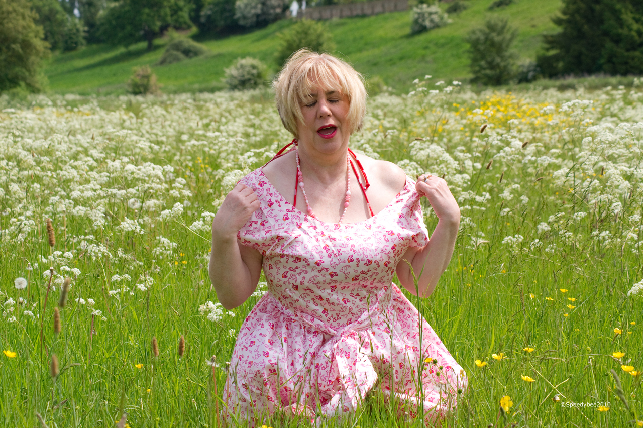 TrishasDiary - A Walk in the Meadow