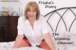 TrishasDiary The Window Cleaner