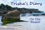 TrishasDiary On The Beach