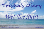 TrishasDiary Wet Tee Shirt