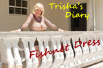 TrishasDiary Fishnet Dress