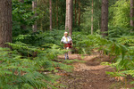 TrishasDiary Walking Home Through The Forest