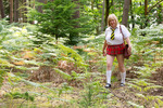 TrishasDiary Walking Home Through The Forest