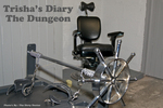 TrishasDiary In The Dungeon