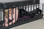 TrishasDiary In The Dungeon
