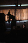 Melody Halloween Witch Project