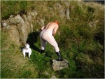 Valgasmic Dolly The Sheep