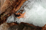 Roxeanne last cape york