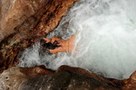 Roxeanne last cape york