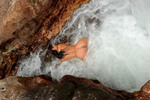 Roxeanne last cape york