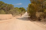 Terry Formentera Day 3 Biking part 1