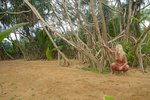 Terry Sri Lanka - Beaches