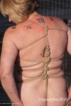 TrishasDiary All Tied Up