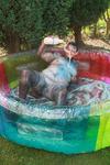 Valgasmic Dirty Dirty Girl