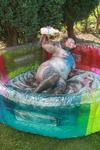 Valgasmic Dirty Dirty Girl