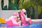 Melody Pink Flamingo Pt3