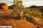 Roxeanne naughtier in central Australia