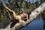 Roxeanne yellow peril 3