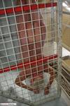 Dimonty Naked in prison