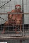 Dimonty Naked in prison
