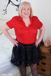 TrishasDiary Red Blouse Strip