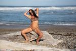 Roxeanne Wild tiger on the beach 