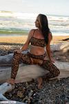 Roxeanne wild tiger 3 check out my pussy spread