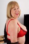 TrishasDiary Red Lingerie