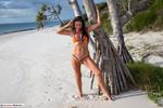 Roxeanne skimpy orange bikini