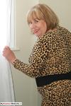 TrishasDiary Leopard Print Dress