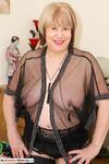 TrishasDiary See Through Blouse