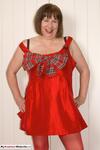 TrishasDiary Little Red Dress