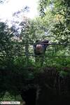 LexieCummings Flashing At The Bridge