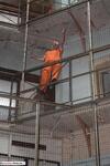 Dimonty In Prison