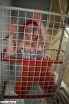 Dimonty In Prison