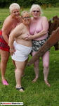 LexieCummings Three Tarts Flashing In A Field