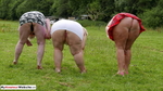 LexieCummings Three Tarts Flashing In A Field