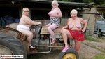 LexieCummings Three Tarts Flashing In A Field