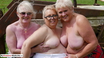 LexieCummings Three Tarts Flashing In A Field