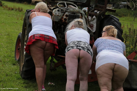 LexieCummings - Three Tarts Flashing In A Field