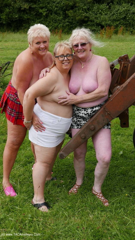 Three Tarts Flashing In A Field
