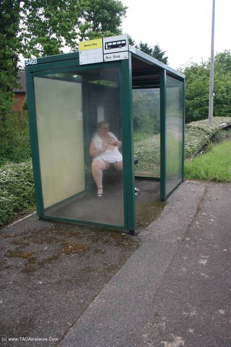 Lexie  Her Tail In The Bus Shelter