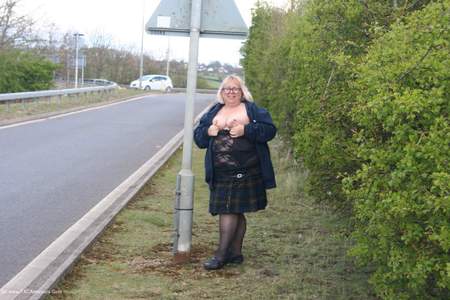 Flashing By The Roadside