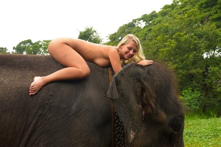 Terry - Sri Lanka - Elephant Ride