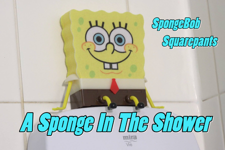 TrishasDiary - A Sponge in the Shower