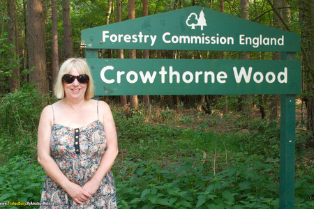 TrishasDiary - Crowthorn Woods Gallery